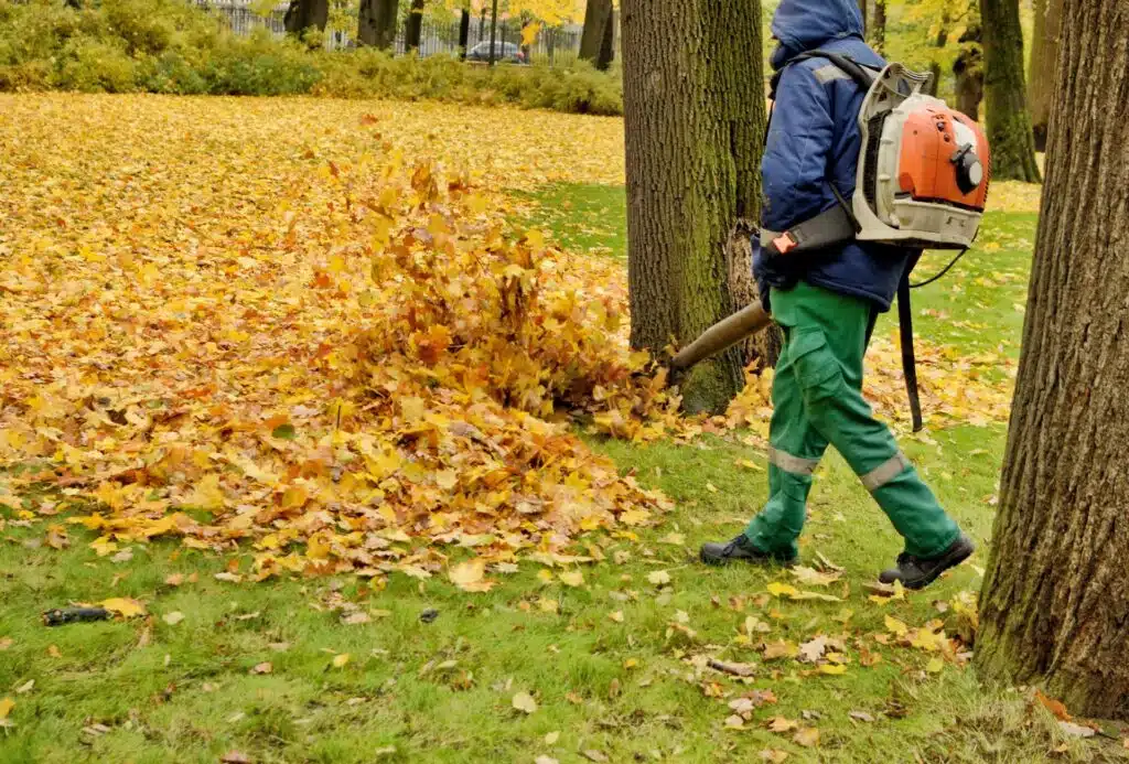 Person med løvblåser